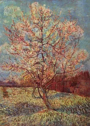 Pêcher en fleurs